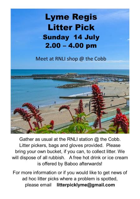 Litter Pick Lyme Regis 